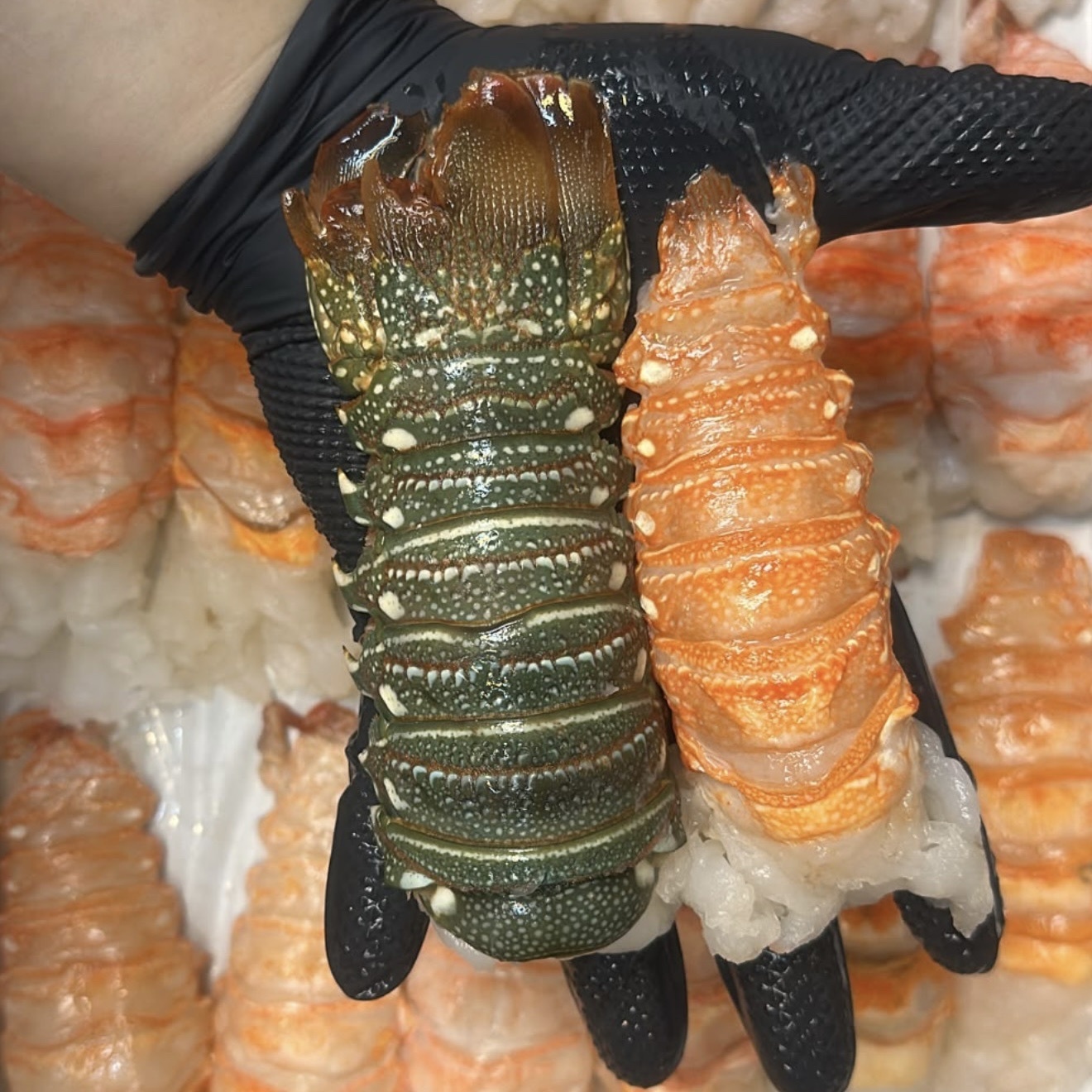 凍乾極鮮龍蝦肉