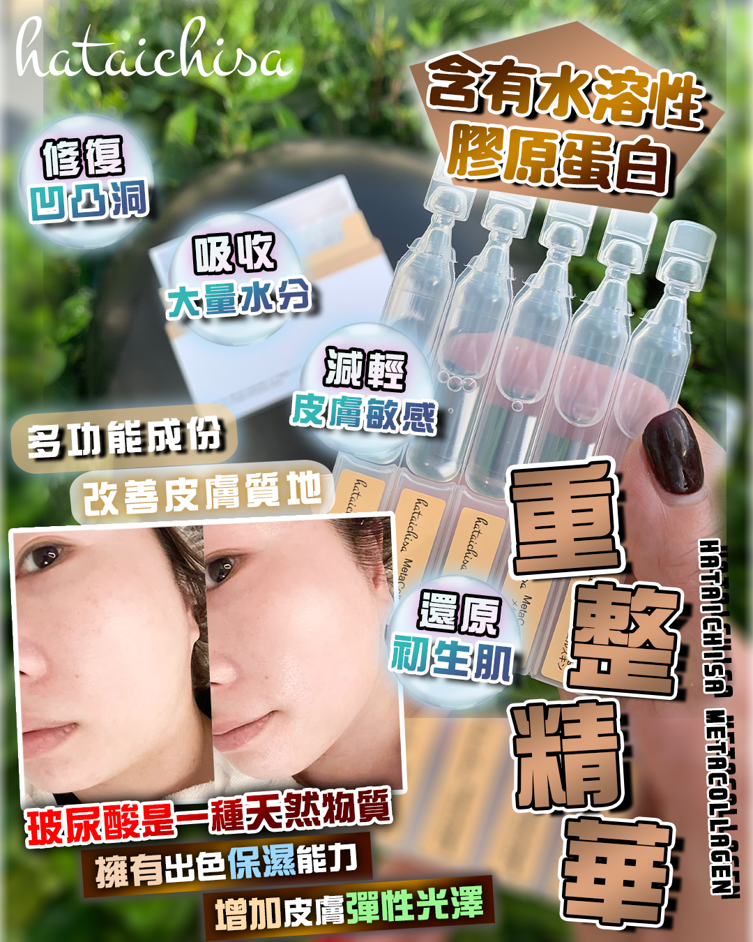 2026 Happy Summer Sale_ Hataichisa MetaCollagen（買一送一，共兩盒）（貨期截單後一個月）