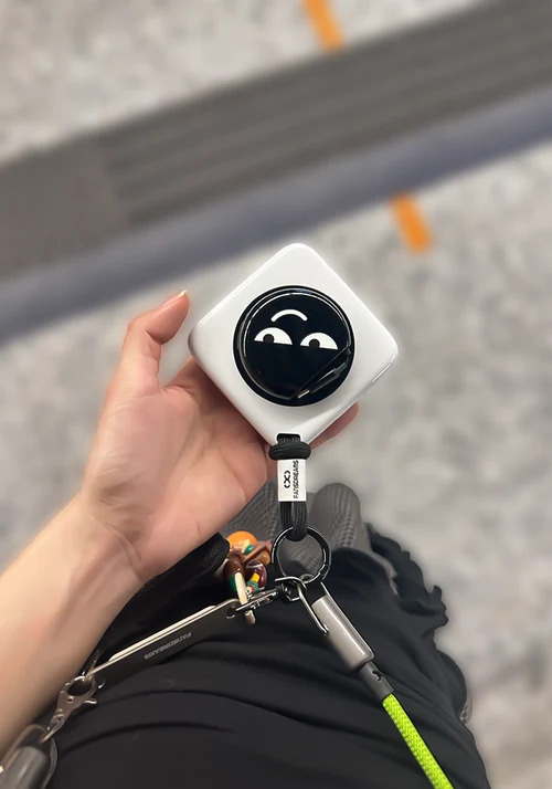 FansDreams 充電器