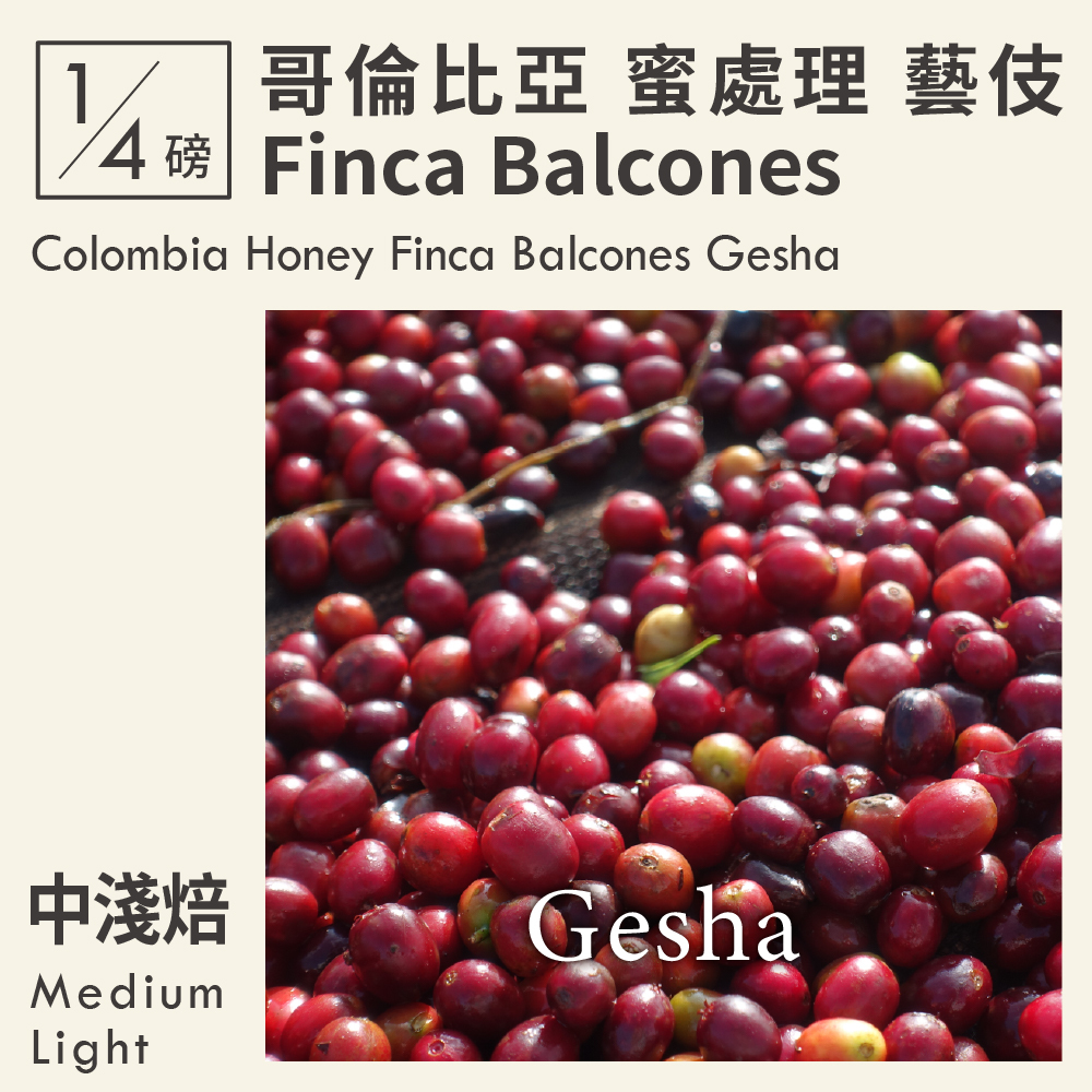 哥倫比亞 蜜處理 Finca Balcones 藝伎 0.25磅
