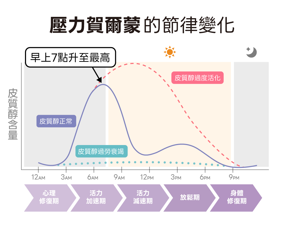 壓力荷爾蒙的節律變化