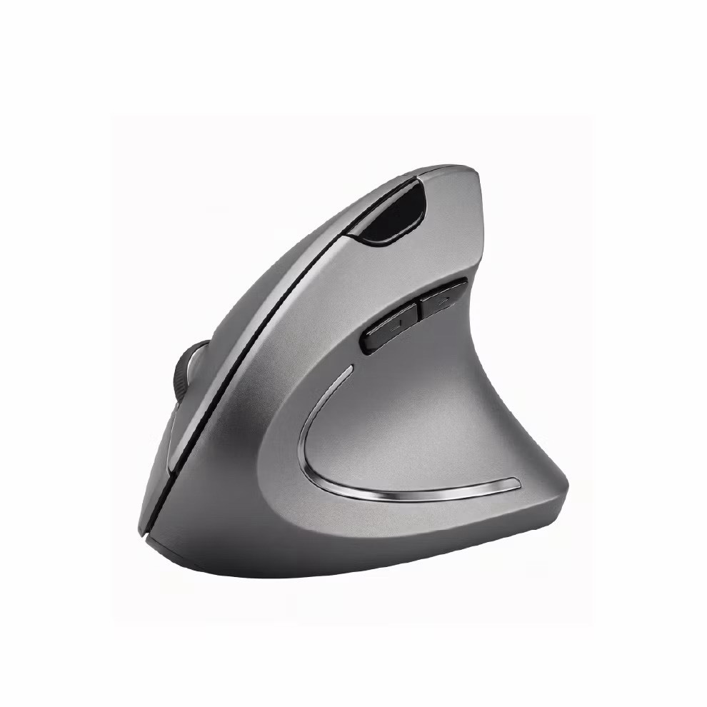 Songwin CY-M250 雙頻人體工學滑鼠（右手專用）