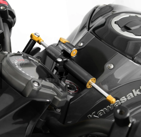 【DIMOTIV】KAWASAKI Z900 17-21 扭力桿組 防甩頭