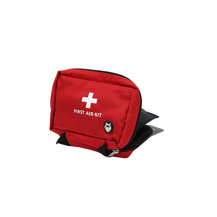 TA-700-CLINIC BAG