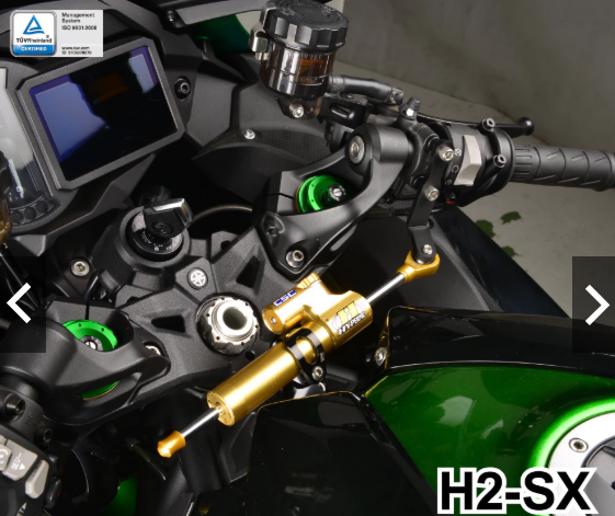 【DIMOTIV】KAWASAKI H2SX 19-23 扭力桿組 防甩頭