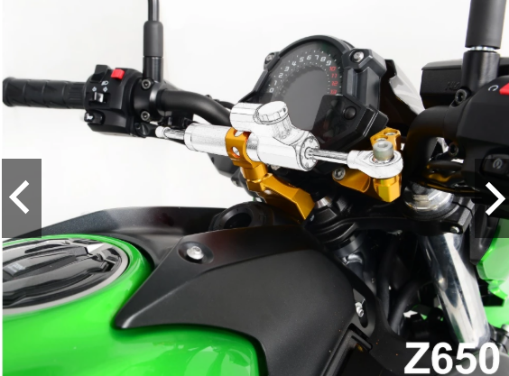 【DIMOTIV】KAWASAKI Z650 17-19 扭力桿組 防甩頭