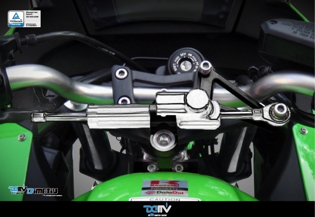 【DIMOTIV 】KAWASAKI ER6F 09-11 扭力桿組 防甩頭