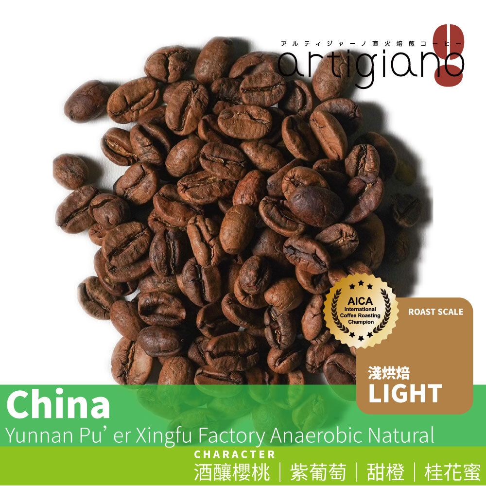 雲南普洱孟連｜興福茶咖廠 厭氧日曬｜酒釀櫻桃 × 紫葡萄 × 桂花蜜的發酵果香咖啡｜直火烘焙