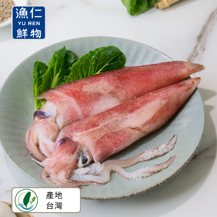 【漁仁嚴選】基隆船釣活凍中卷