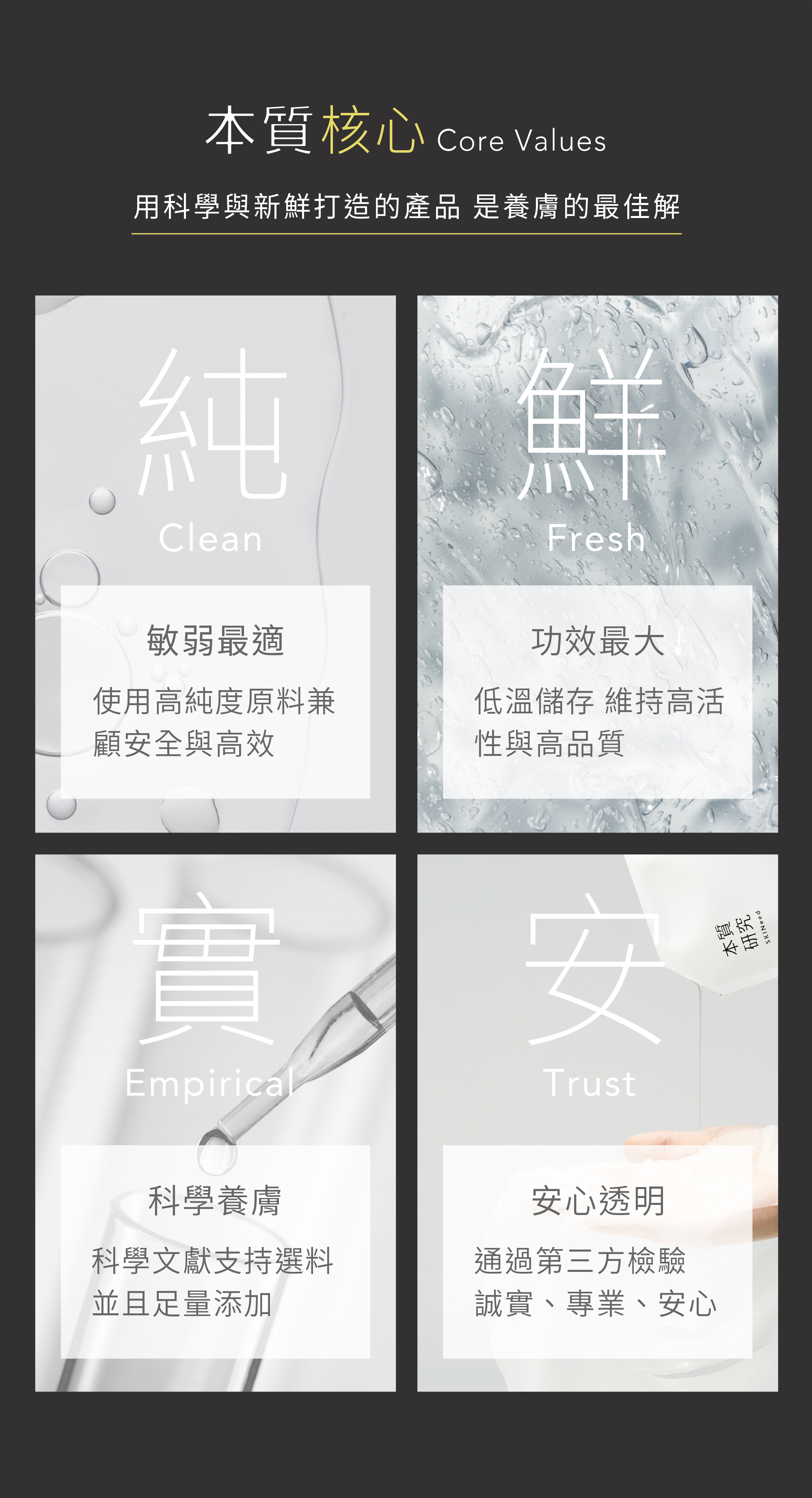 AMP修敏精華-06