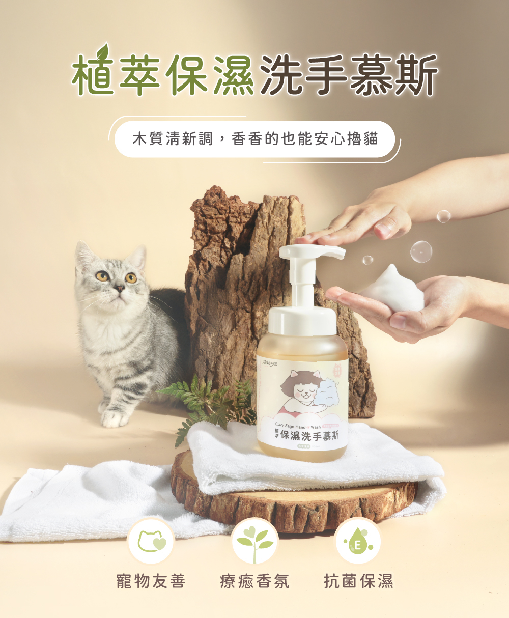 超凝小姐 Ladyn 植萃保濕洗手慕斯 - 木質清香