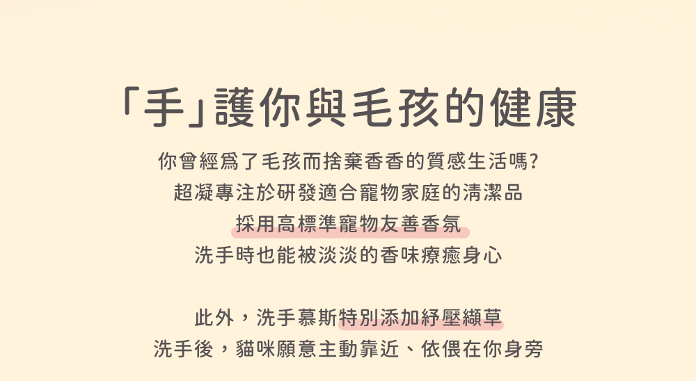 超凝小姐 Ladyn 植萃保濕洗手慕斯 - 木質清香