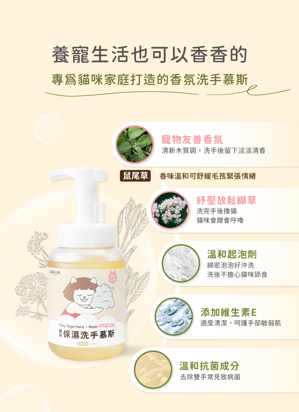 超凝小姐 Ladyn 植萃保濕洗手慕斯 - 木質清香