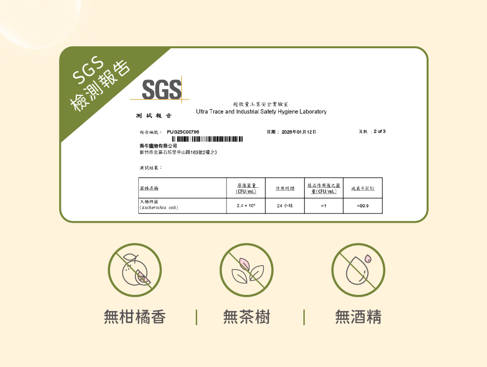 超凝小姐 Ladyn 植萃保濕洗手慕斯 - 木質清香