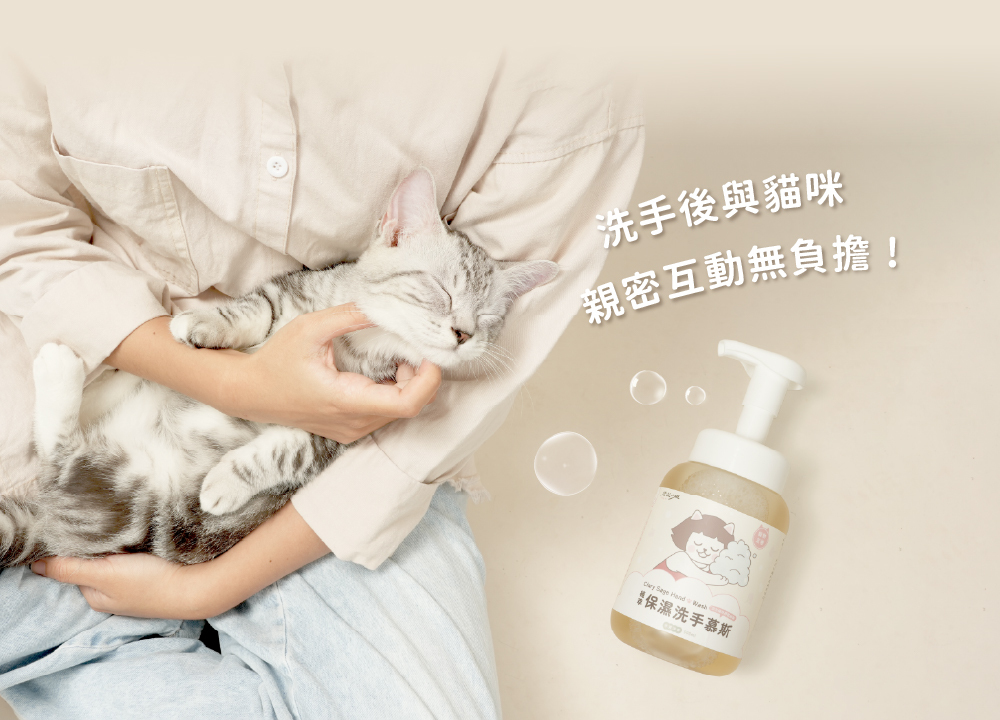 超凝小姐 Ladyn 植萃保濕洗手慕斯 - 木質清香