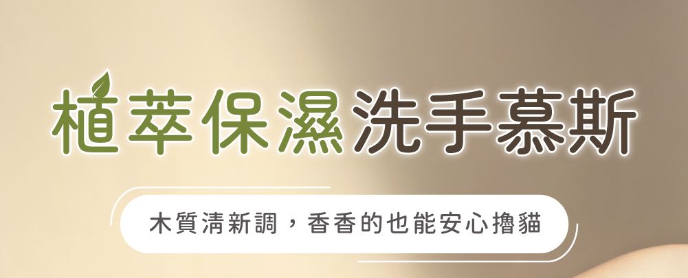 超凝小姐 Ladyn 植萃保濕洗手慕斯 - 木質清香