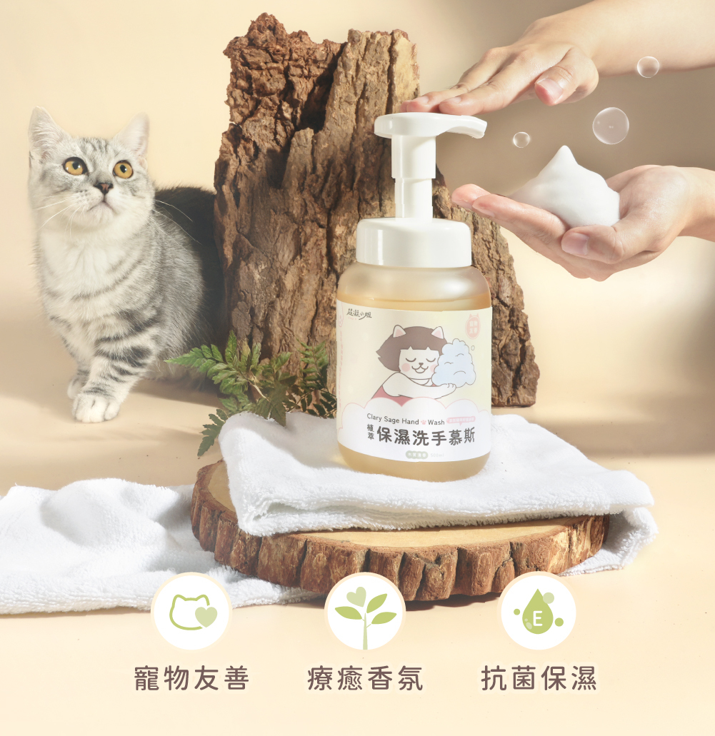 超凝小姐 Ladyn 植萃保濕洗手慕斯 - 木質清香