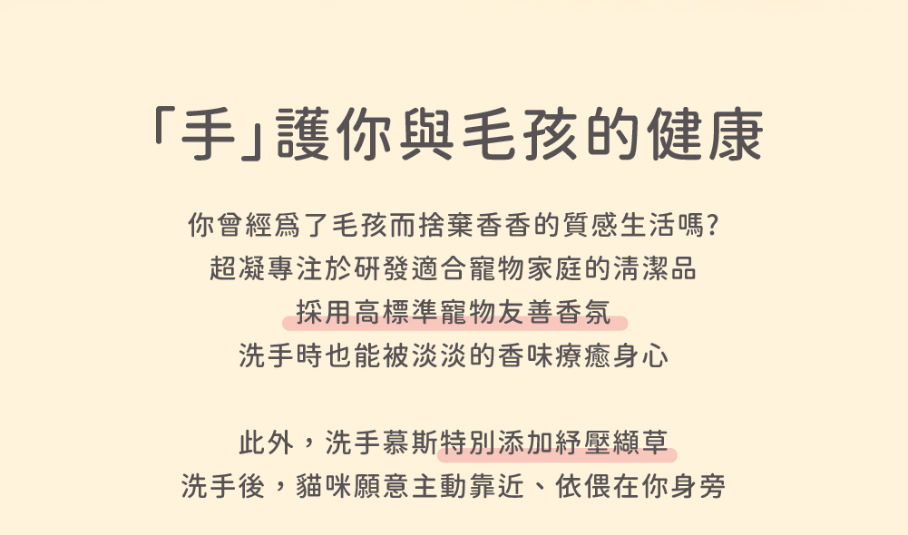 超凝小姐 Ladyn 植萃保濕洗手慕斯 - 木質清香