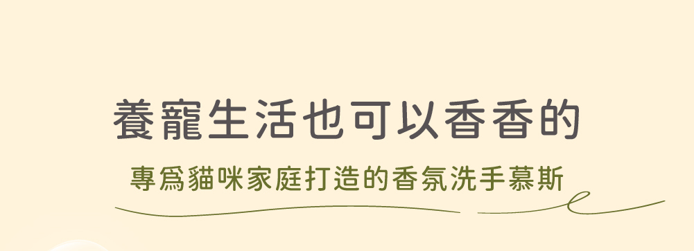 超凝小姐 Ladyn 植萃保濕洗手慕斯 - 木質清香