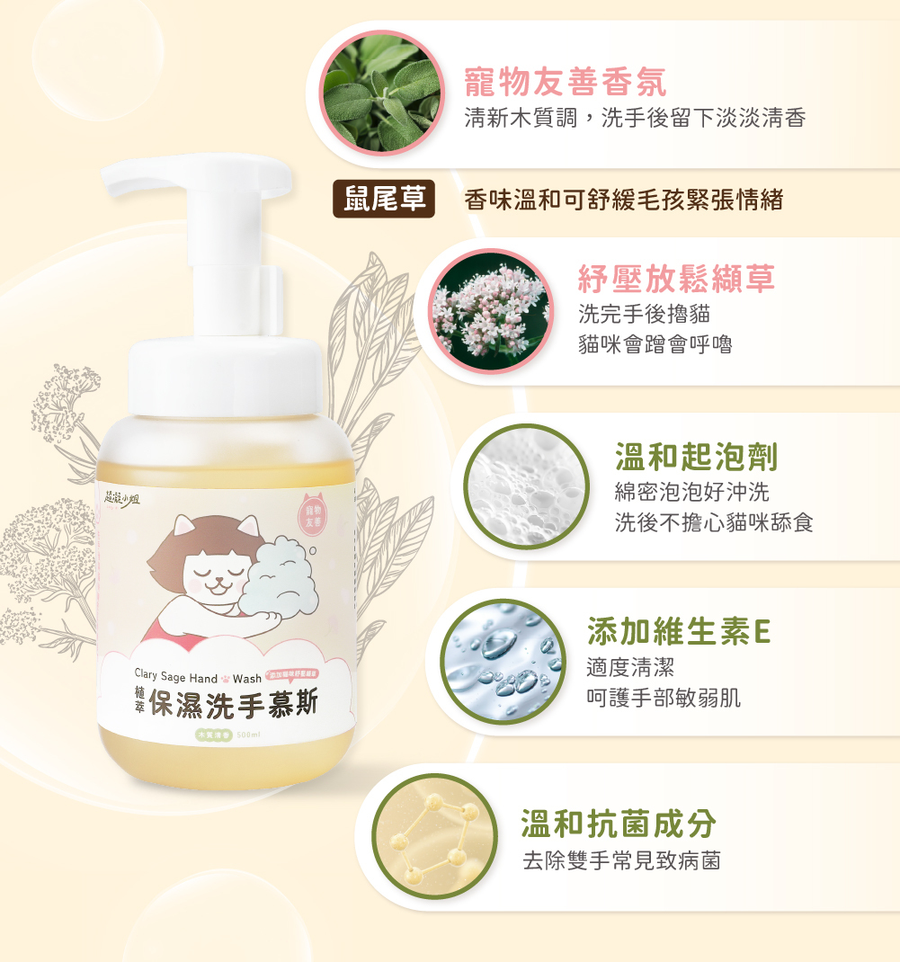 超凝小姐 Ladyn 植萃保濕洗手慕斯 - 木質清香