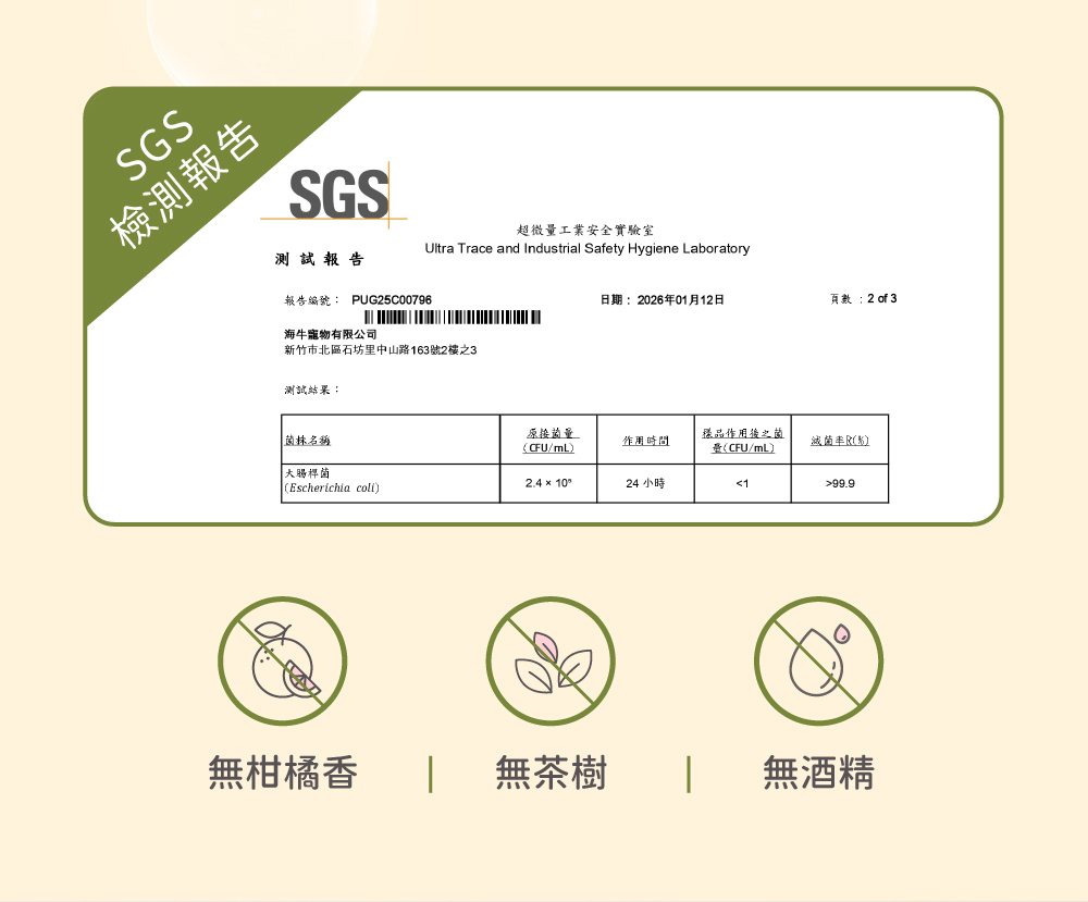 超凝小姐 Ladyn 植萃保濕洗手慕斯 - 木質清香