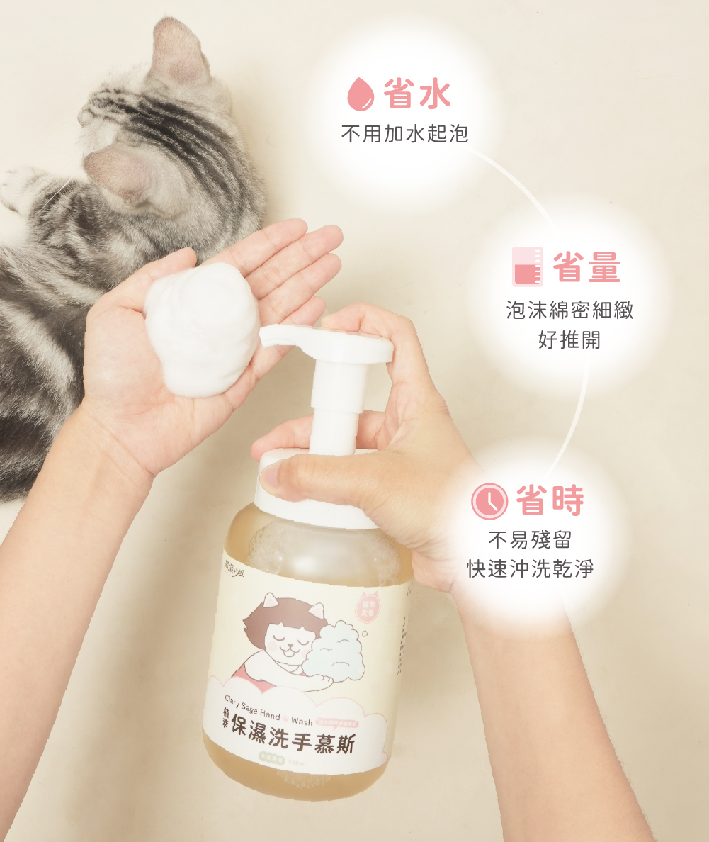 超凝小姐 Ladyn 植萃保濕洗手慕斯 - 木質清香
