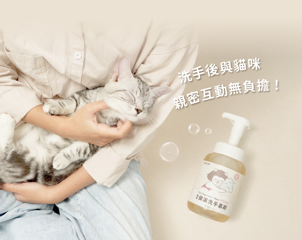 超凝小姐 Ladyn 植萃保濕洗手慕斯 - 木質清香