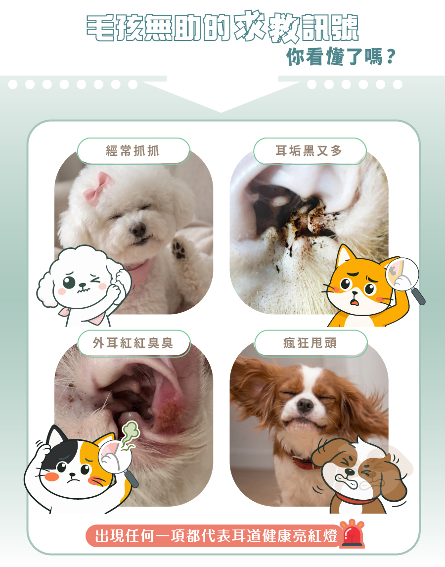毛孩的求助訊號：狗貓頻繁抓耳、甩頭、耳垢又黑又多、耳朵發紅，都需即時進行耳朵潔淨修護。