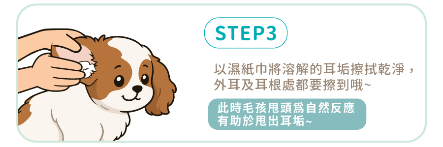 歸毛家族萌耳液使用步驟三：濕紙巾擦拭狗狗外耳溶解的耳垢，並讓毛孩順應自然反應甩頭甩出殘留耳垢。