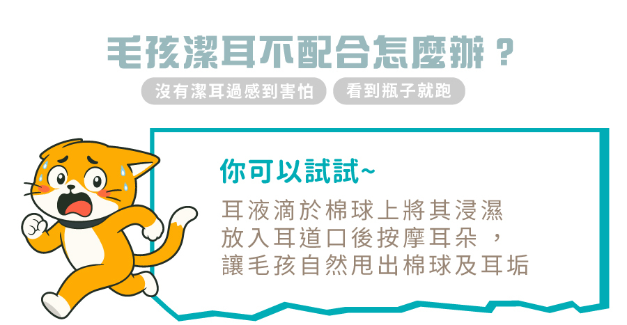 面對害怕潔耳的毛孩，可將萌耳液沾濕棉球放在耳口按摩，輕鬆引導犬貓甩出耳垢與棉球。
