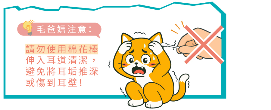 清潔寵物耳朵切勿使用棉花棒，避免將耳垢塞入耳道深處或意外刮傷狗狗貓咪的耳壁。