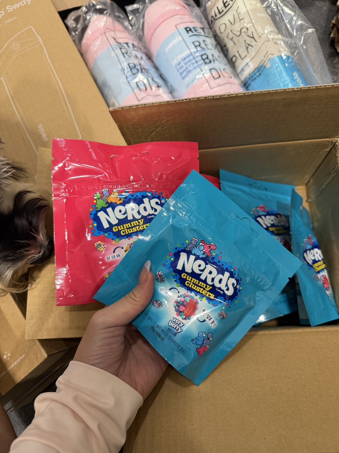 歐美超紅 Nerds書呆子軟糖