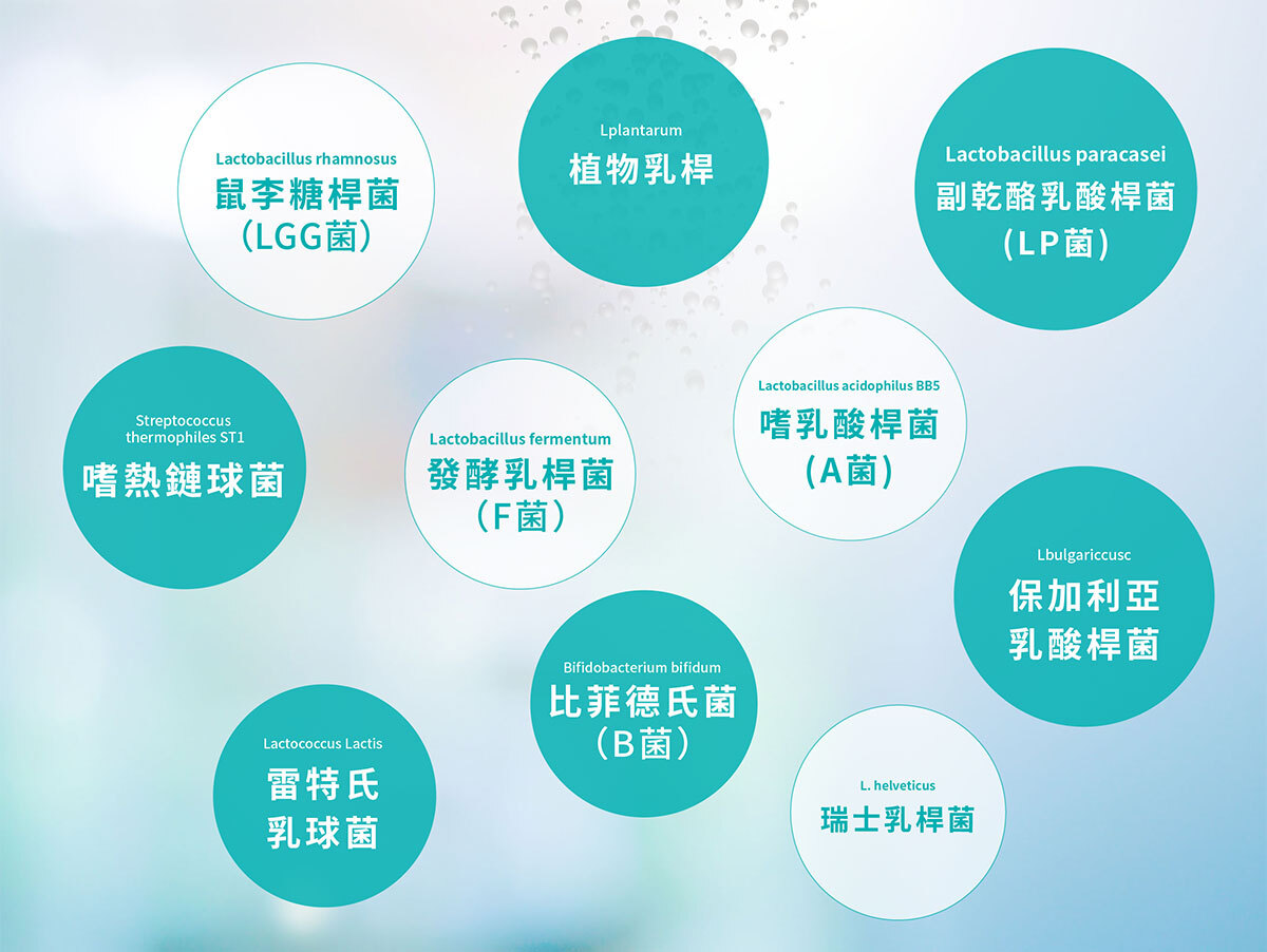 350億膠囊益生菌-嚴萃保健-11
