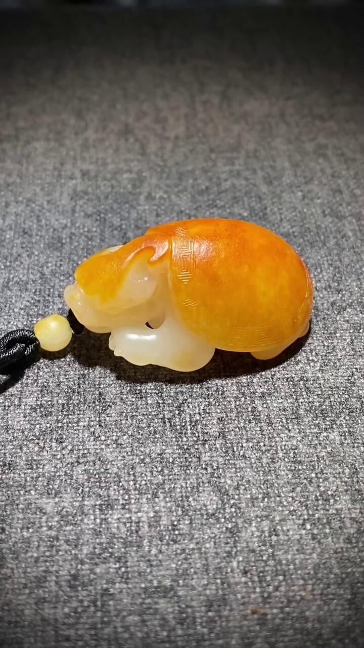716734 和田玉籽料龍龜