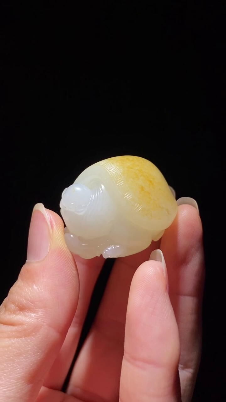 716735 和田玉籽料龍龜