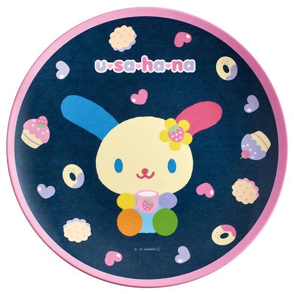 日本 Skater Sanrio Usahana 彩虹兔 圓形榭脂碟