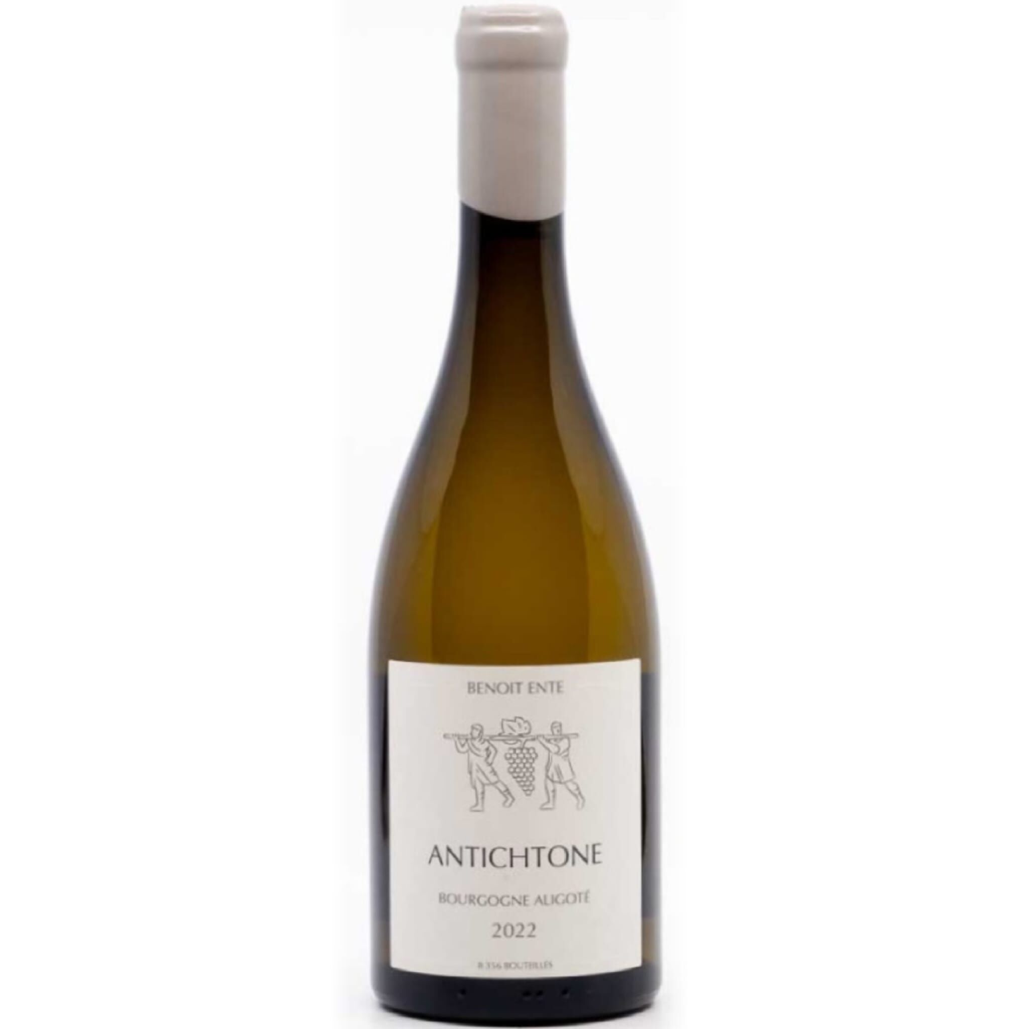 2021 Benoit Ente Bourgogne Aligote 'Antichtone'