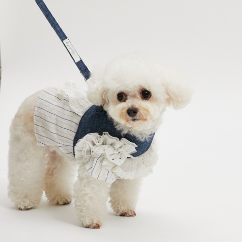 Louisdog 一起散步胸背組/丹寧點點
