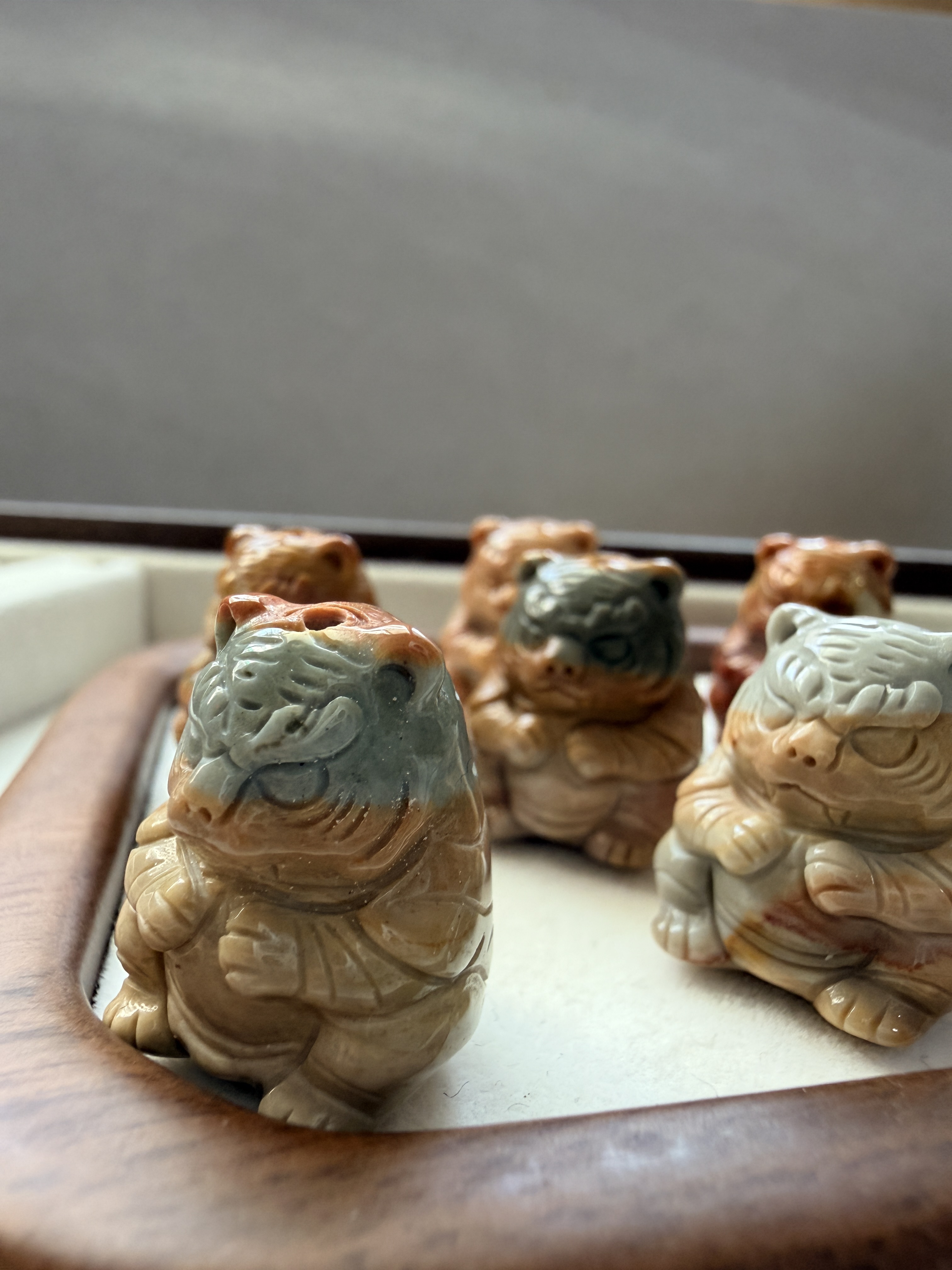 阿拉善