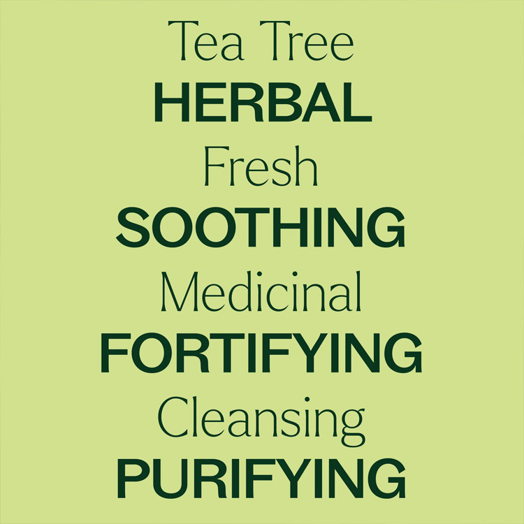 Plant Therapy Tea Tree 茶樹精油預稀釋滾珠瓶裝 - 10ml