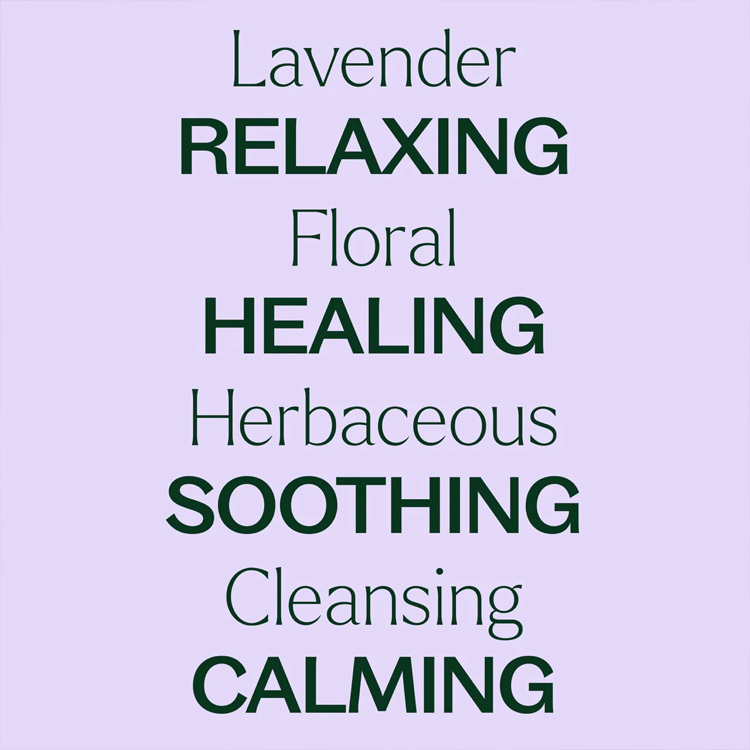 Plant Therapy Lavender 薰衣草預稀釋滾珠瓶裝 - 10ml
