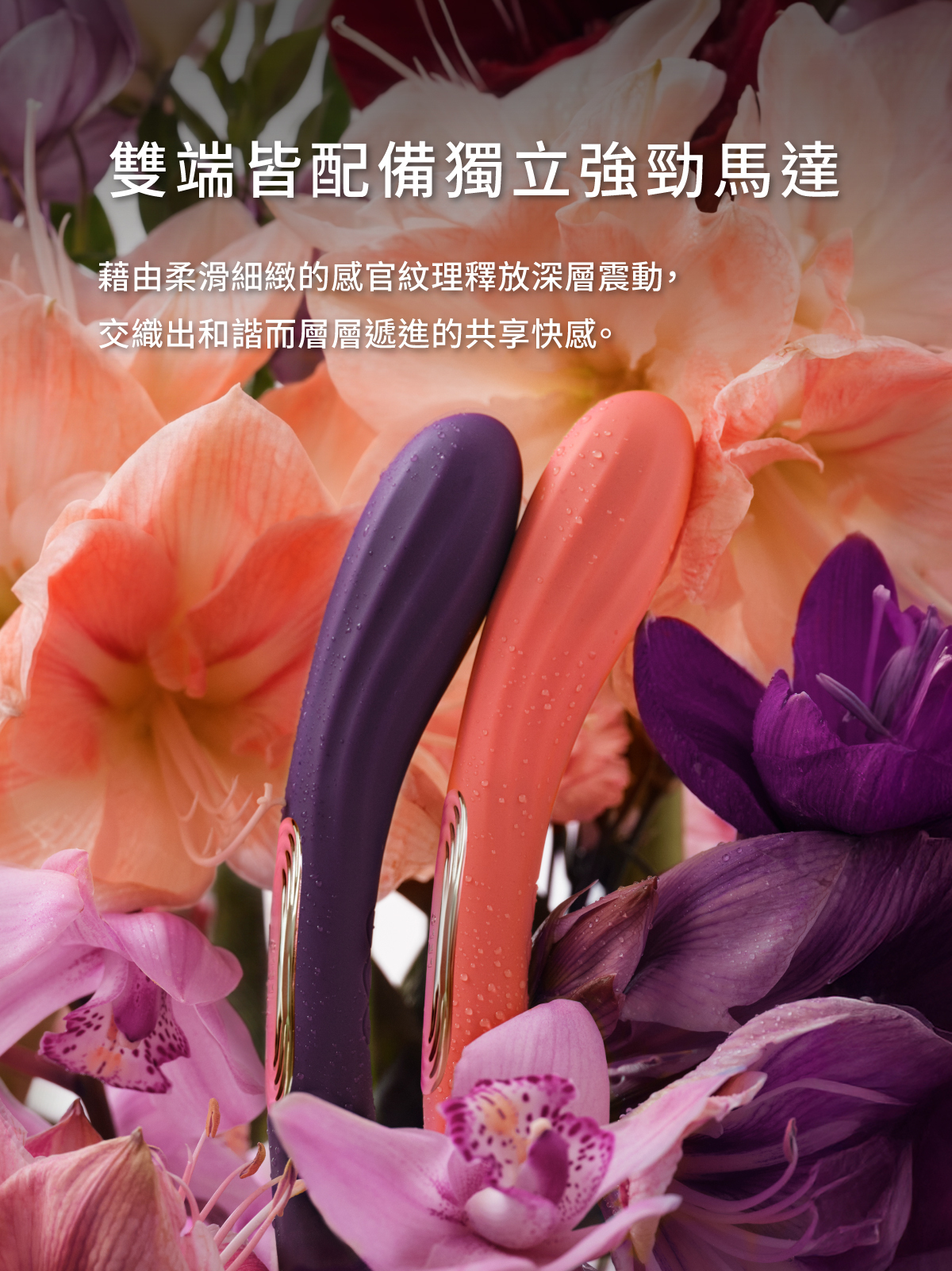 LELO BOOMERANG 七夕浪漫套組