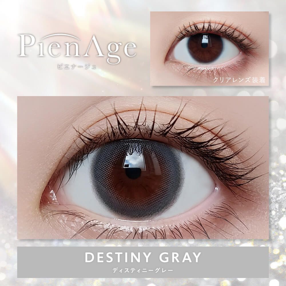 PienAge 1 day(Destiny Gray)(10P)
