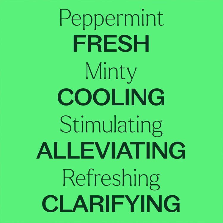 Plant Therapy Peppermint 薄荷精油預稀釋滾珠瓶裝 - 10ml