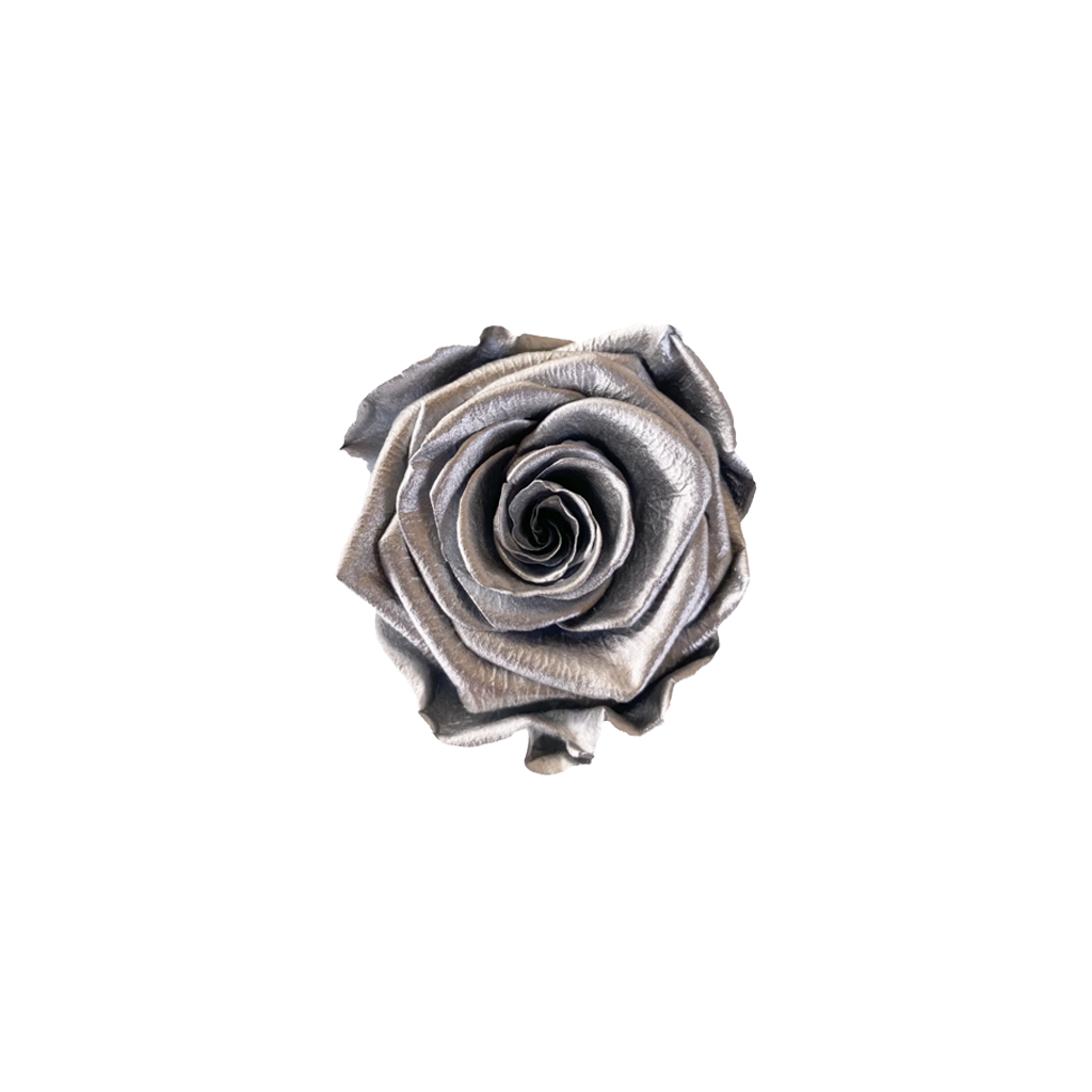 Silver｜4-4.5cm 12輪｜Hoja Verde