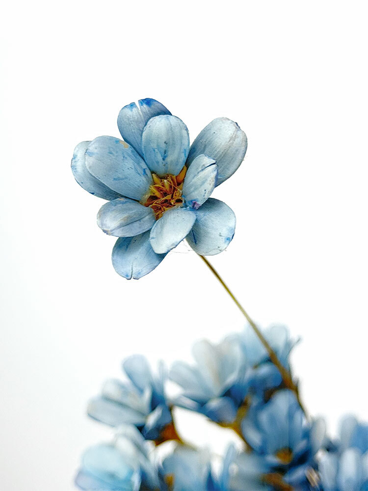 手工小雛菊