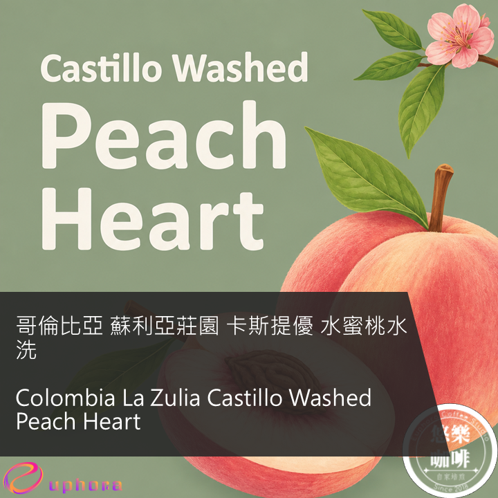 哥倫比亞 蘇利亞莊園 卡斯提優 水蜜桃水洗