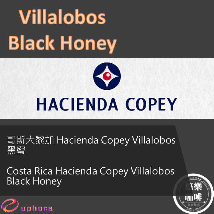 哥斯大黎加 Hacienda Copey Villalobos 黑蜜