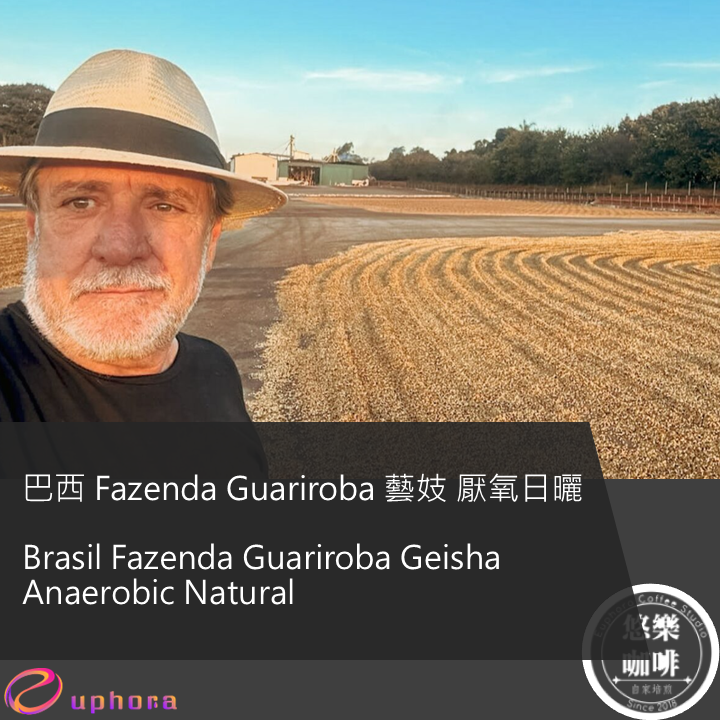 巴西 Fazenda Guariroba 藝妓 厭氧日曬