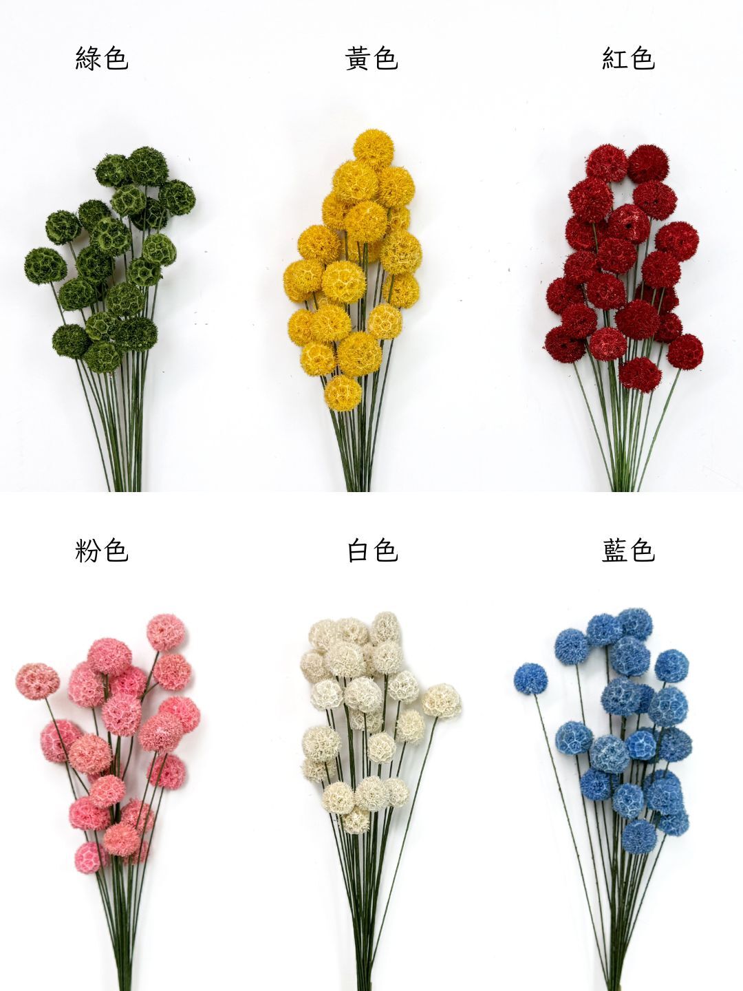 乾燥手工楓球